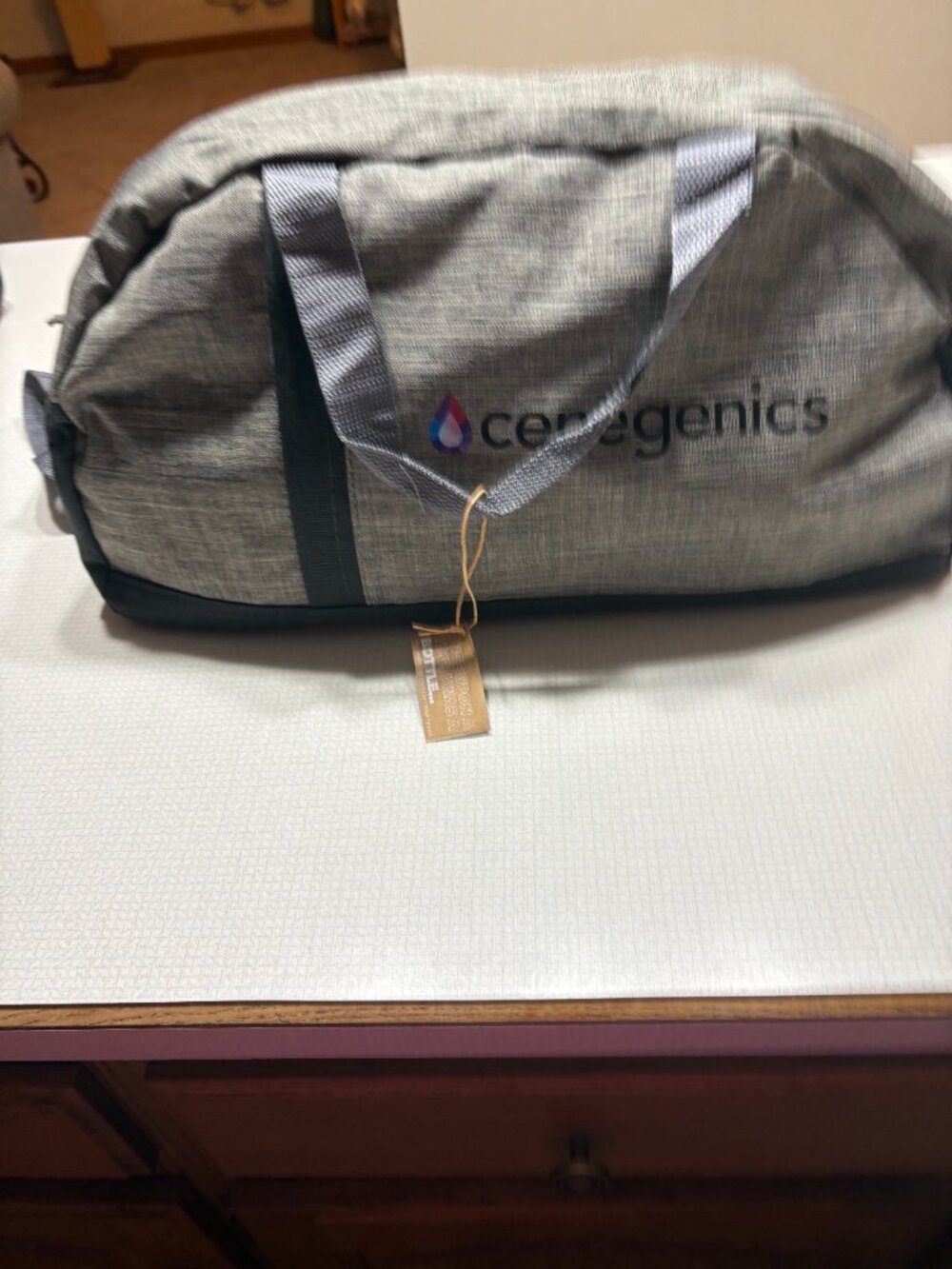 GUC Gray Weekender Bag by Leed's (for the Planet) Recycled Paper & Bottles